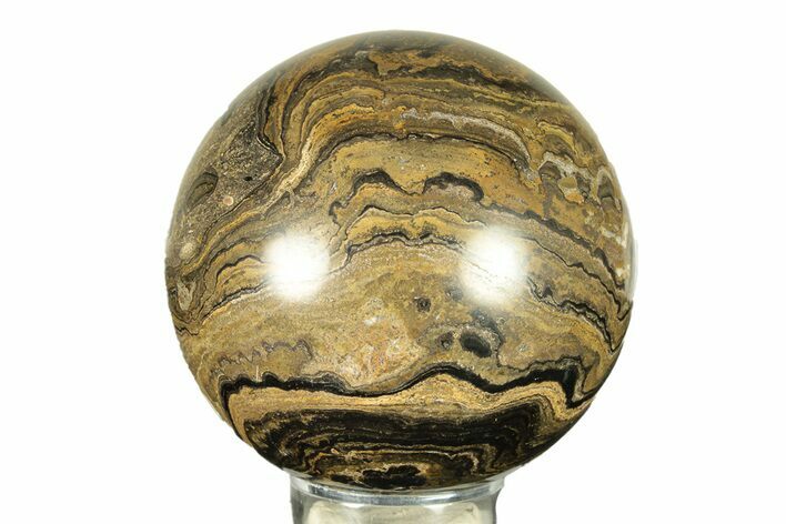 Polished Stromatolite (Greysonia) Sphere - Bolivia #264437